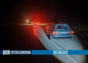 12 марта в Кобринском районе погиб пешеход. На него совершили наезд два автомобиля