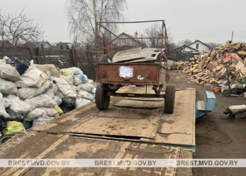«Предприимчивая молодежь» занималась кражей металлолома из подворий в деревнях Брестского района