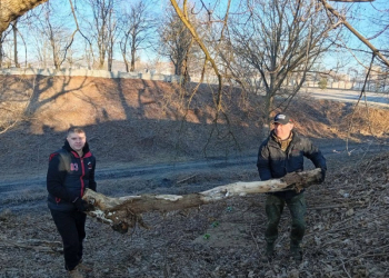 Сегодня в Бресте первый в этом году городской субботник