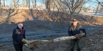 Сегодня в Бресте первый в этом году городской субботник