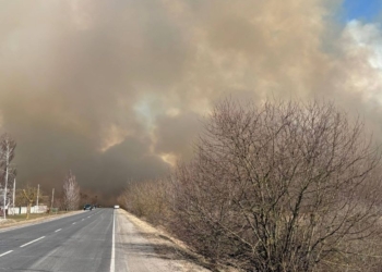 В Пинском районе горит сухая растительность. Огонь создает угрозу населенным пунктам