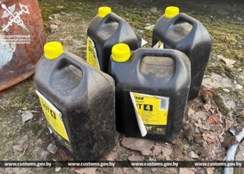 На границе изъяли 24 канистры опасной жидкости