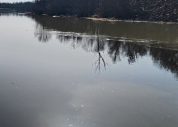 В Бресте укрепили берега Западного Буга и канала водоспуска гидроузла «Тришин» для предотвращения паводка