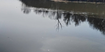 В Бресте укрепили берега Западного Буга и канала водоспуска гидроузла «Тришин» для предотвращения паводка