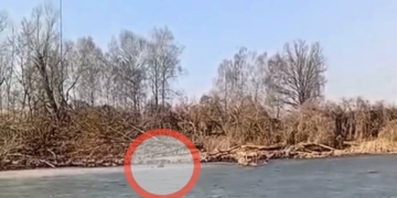 На Мухавце спасли рыбака, провалившегося под лед