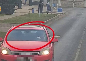 С 11 до 14 марта ГАИ будет активно выявлять разговаривающих по телефону за рулем