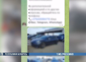 39-летний брестчанин присвоил 850 000(!) рублей, обещая доставить дорогое авто из-за границы