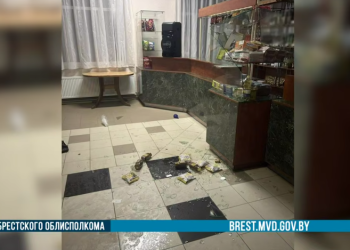 Житель Лунинецкого района разгромил кафе из-за прервавшейся музыки