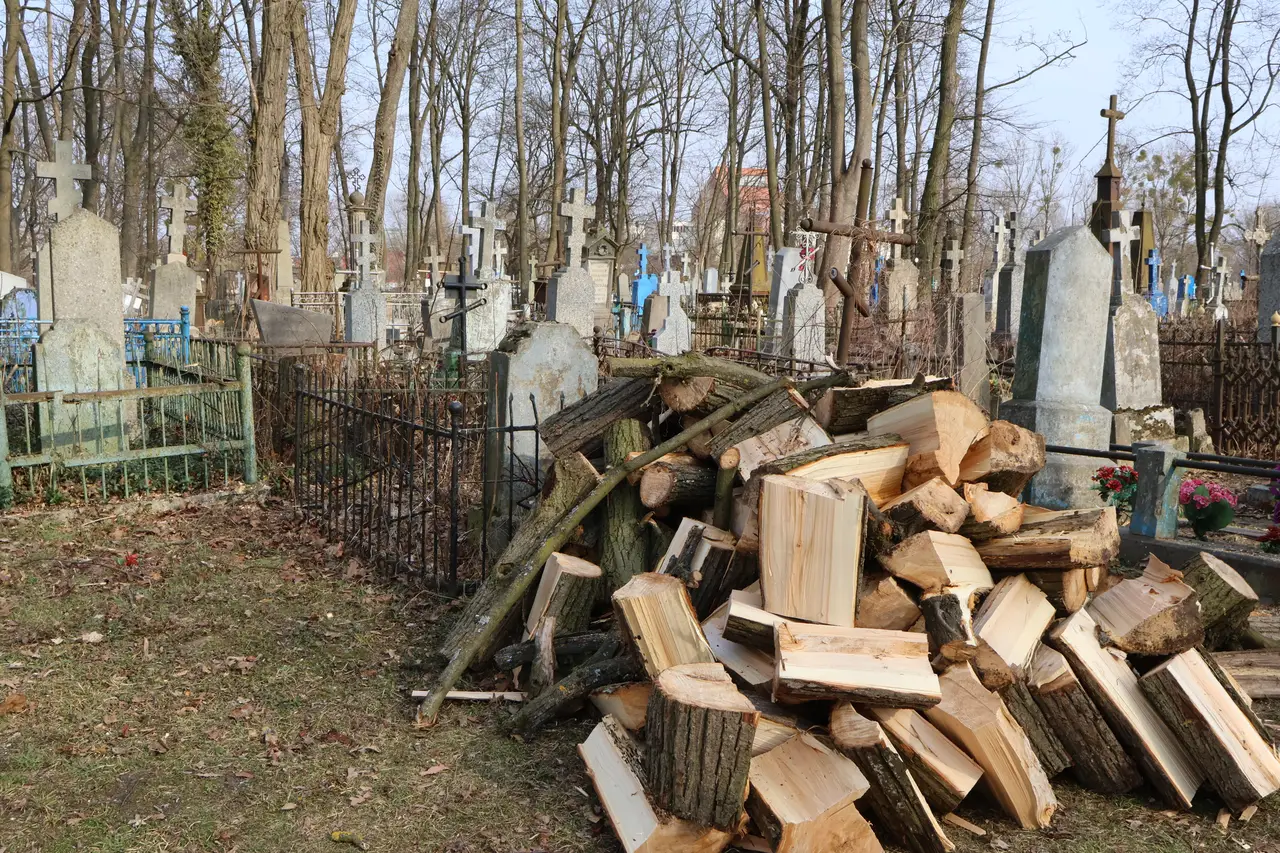 тришинское кладбище