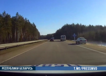 Для остановки пьяного угонщика применялось табельное оружие