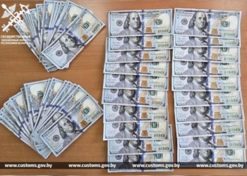 31 000 долларов без декларирования пытался провезти через границу гражданин Украины