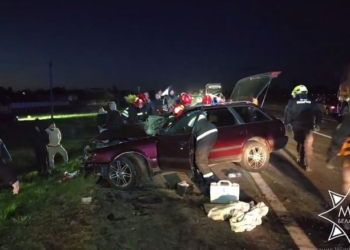 Работники МЧС спасли пассажирку Ауди во время вчерашнего ДТП в Брестском районе