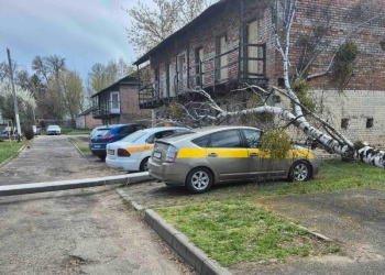 На Ленина в Бресте упала опора ЛЭП, на Зубачева — дерево и опора ЛЭП