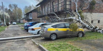 На Ленина в Бресте упала опора ЛЭП, на Зубачева — дерево и опора ЛЭП