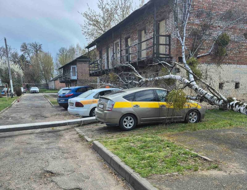 На Ленина в Бресте упала опора ЛЭП, на Зубачева — дерево и опора ЛЭП