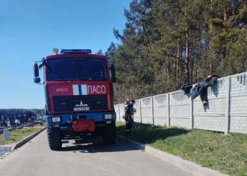 5 апреля в районе Северного кладбища произошло возгорание растительности в лесном массиве