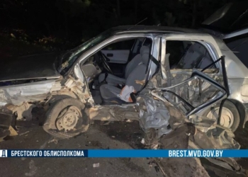 Вчера в Брестском районе автоледи не смогла без проблем совершить обгон