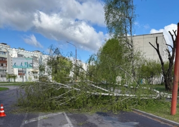Сильный ветер сегодня проверяет Брест на прочность