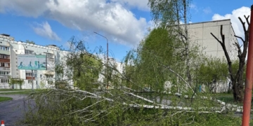 Сильный ветер сегодня проверяет Брест на прочность