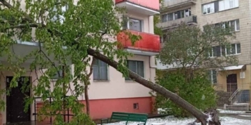 Экстренные службы Бреста справились с последствиями сильного ветра