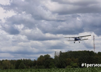В Брестской области с воздуха начали разбрасывать вакцины против бешенства диких животных