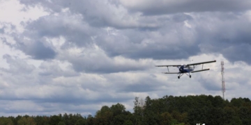 В Брестской области с воздуха начнут разбрасывать вакцины против бешенства для диких животных
