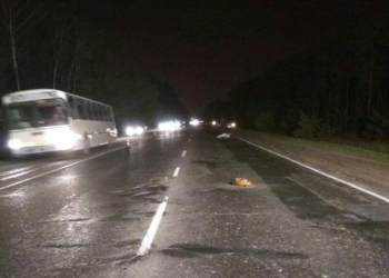 Некуда деться! Как цвет одежды и алкоголь погубили человека на трассе