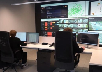 Зверей на белорусских дорогах ожидает шоу: РУП «Белдорсвязь» разработало проект, минимизирующий риски столкновения машин и животных на дорогах