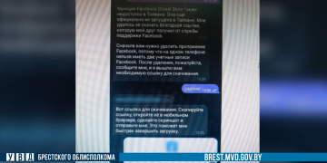 Житель Пинска неудачно «вложился в бизнес»