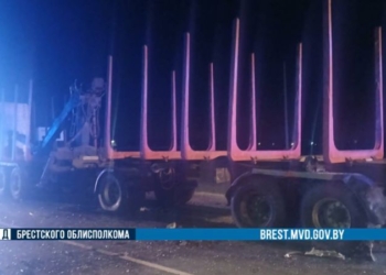 Вчера в Брестском районе Ауди въехала в стоящий на обочине МАЗ