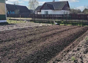 Налоговая: чтобы вспахать кому-то огород, не обязательно быть ИП