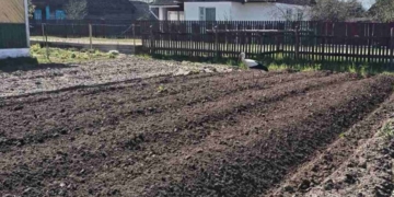 Налоговая: чтобы вспахать кому-то огород, не обязательно быть ИП