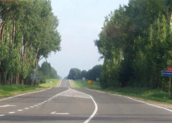Дорога к Беловежской пуще станет музыкальной