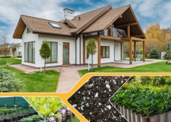 Популярные дачные лайфхаки, которые губят ваш участок