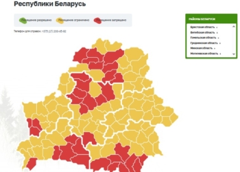 Интерактивная карта запретов и ограничений посещения лесов с каждым днем становится все более красной