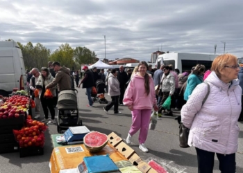 Весенняя ярмарка возле ТЦ «Корона» в Бресте в самом разгаре