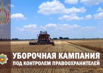 Урожай преступлений в АПК области собирают правоохранители