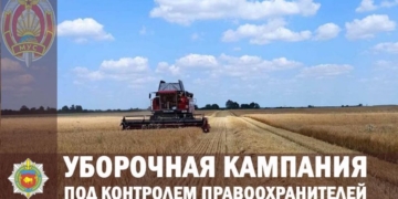 Урожай преступлений в АПК области собирают правоохранители