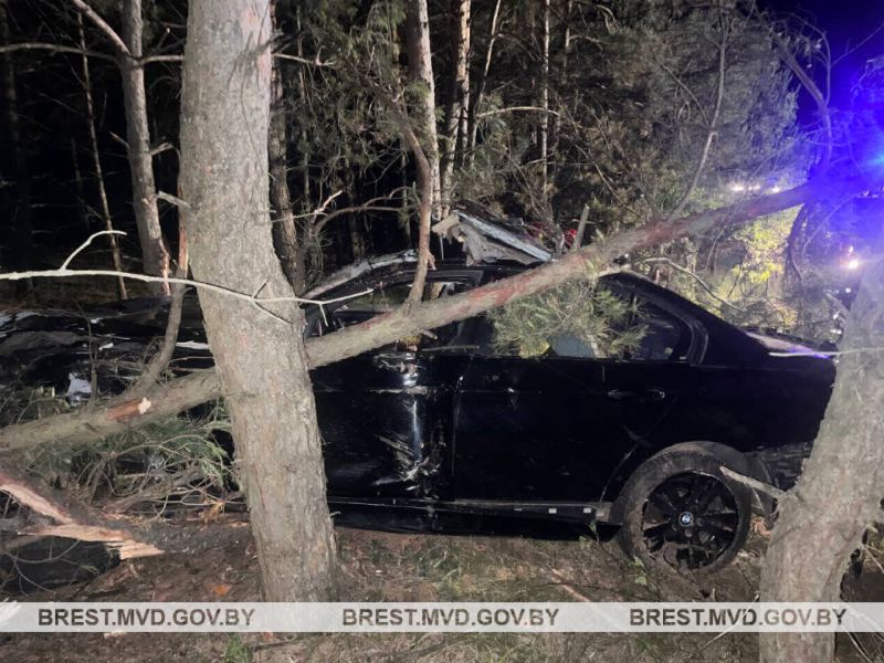 7 июня в Барановичском районе в аварии погиб человек, причина — выбежавший лось