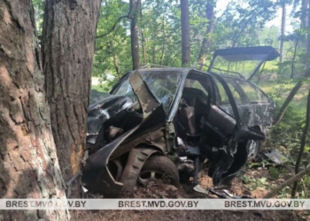 В Брестском районе погиб бесправный водитель