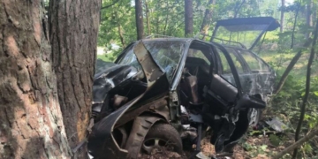 В Брестском районе погиб бесправный водитель