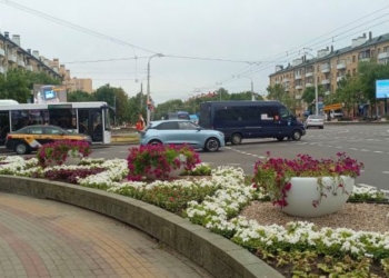Брест продолжает наполняться яркими цветочными композициями