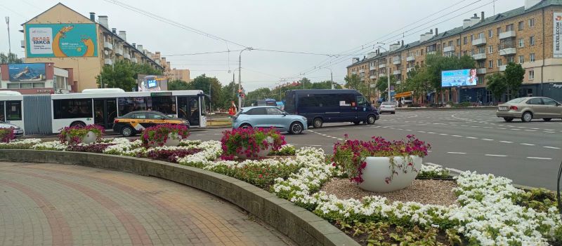 Брест продолжает наполняться яркими цветочными композициями