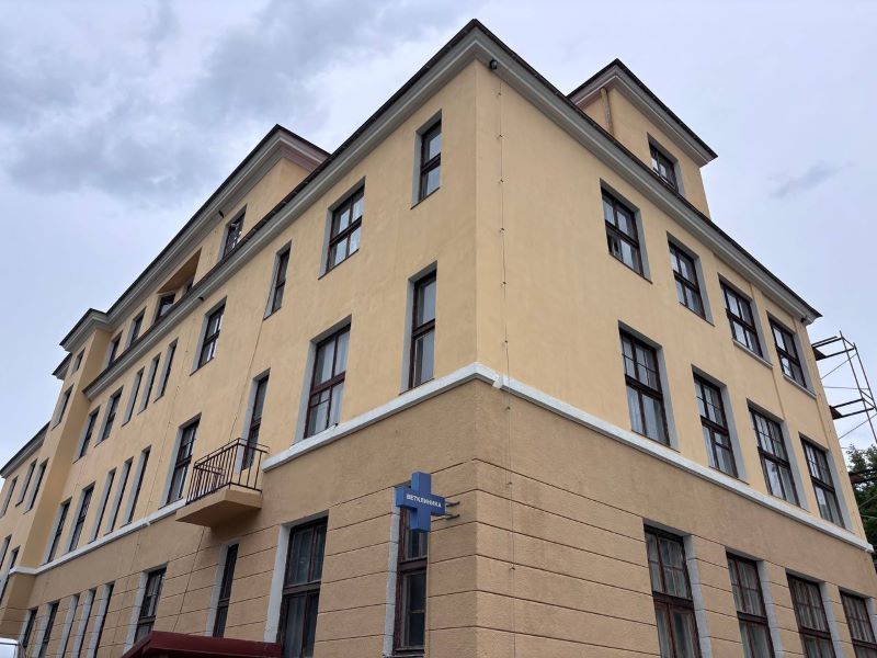 «Девичий» виноград возвращается на свое место после ремонта на Леваневского, 1