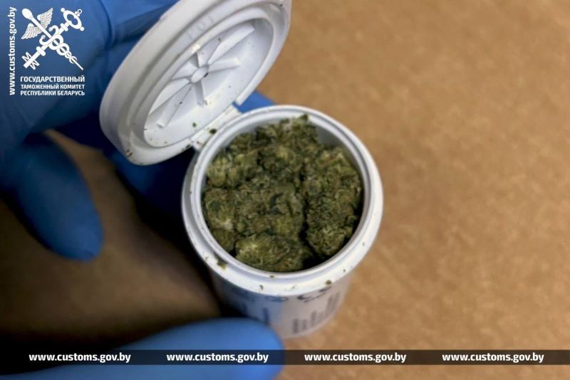 Марихуану намеревался ввезти в Беларусь гражданин Германии, Брестская таможня не дала «добро»