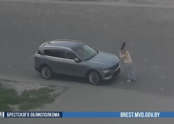 Пьяная пинчанка пыталась разгромить новый автомобиль