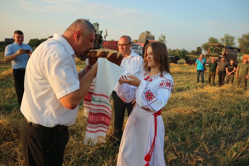 Столинский район первым в Беларуси завершил уборку зерновых и зернобобовых культур