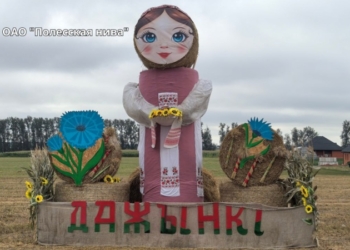 В Столинском районе выбирают лучшую композицию из соломы к дожинкам