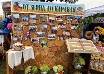 В пяти районах Брестской области 29 августа отпраздновали «Дажынкi». Смотрите, как это было