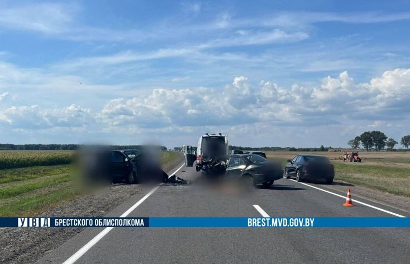 В Дрогичинском районе произошло ДТП, в результате которого погиб водитель автомобиля